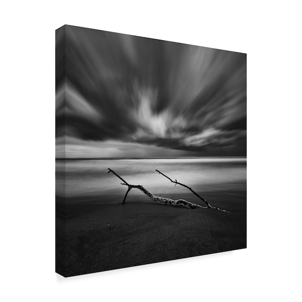 Massimo Della Latta 'Branch On Beach' Canvas Art,14x14